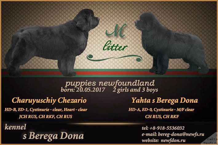 Фотография № 226590