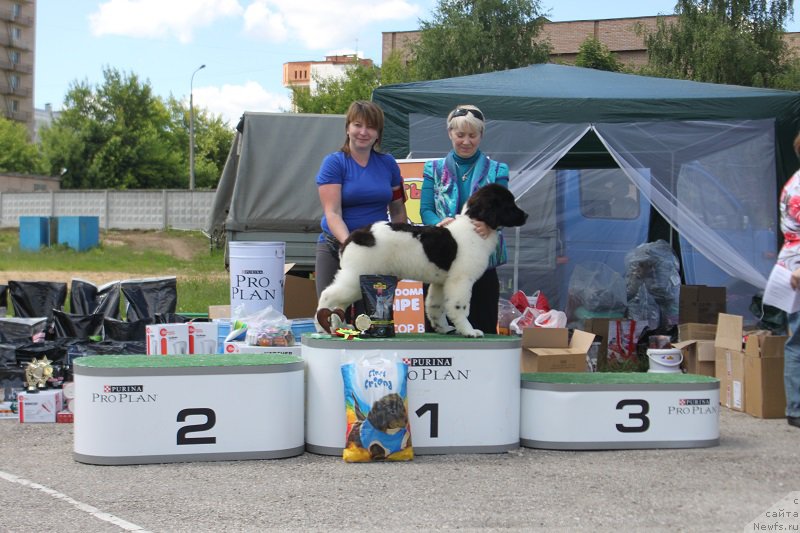 Фотография № 226606