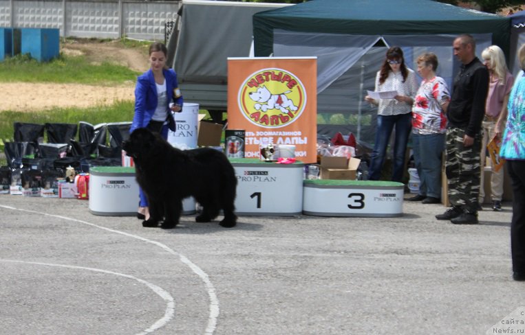 Фотография № 226607