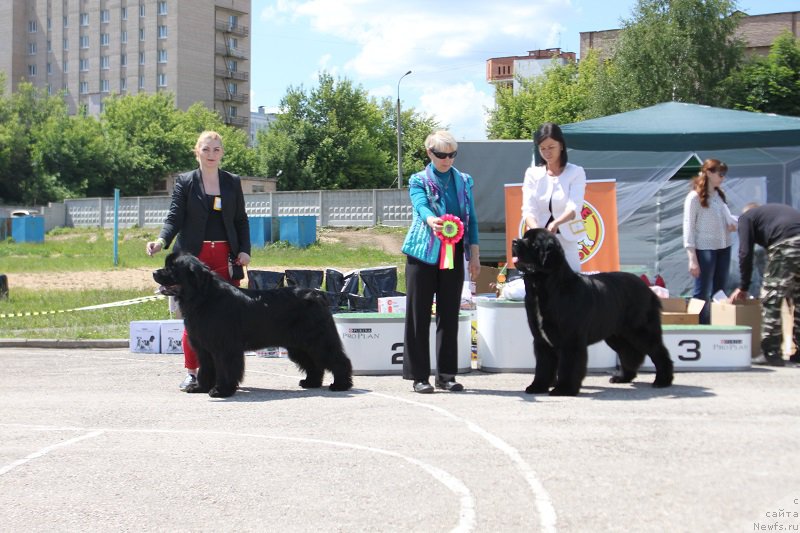 Фотография № 226608