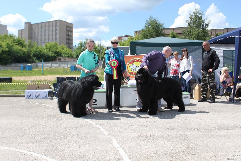 Фотография № 226609