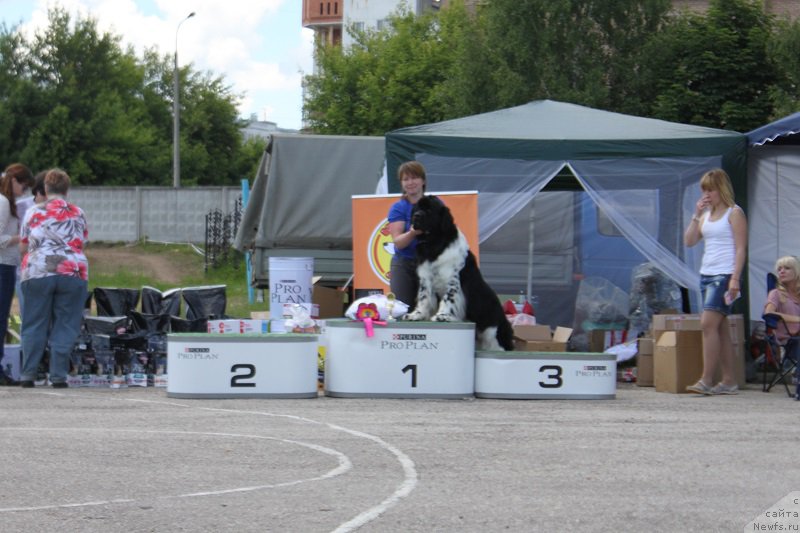 Фотография № 226610