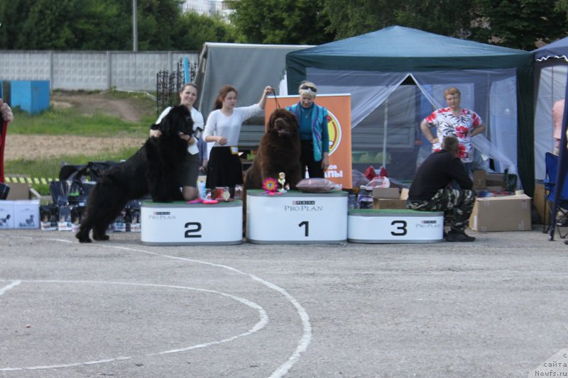 Фотография № 226612