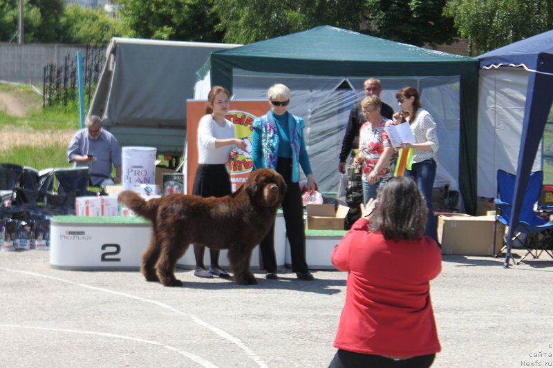 Фотография № 226613