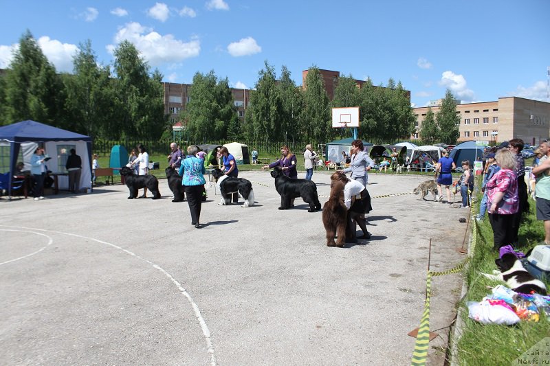 Фотография № 226614