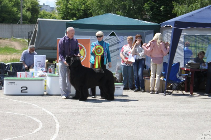 Фотография № 226615