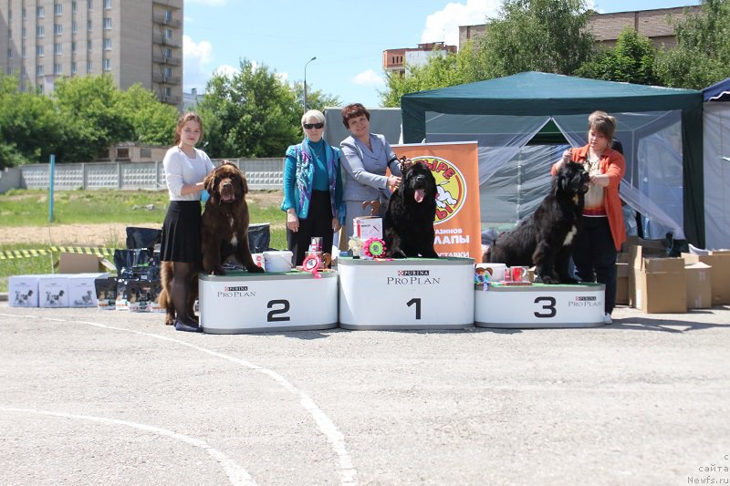 Фотография № 226616