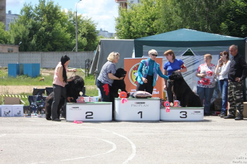 Фотография № 226617