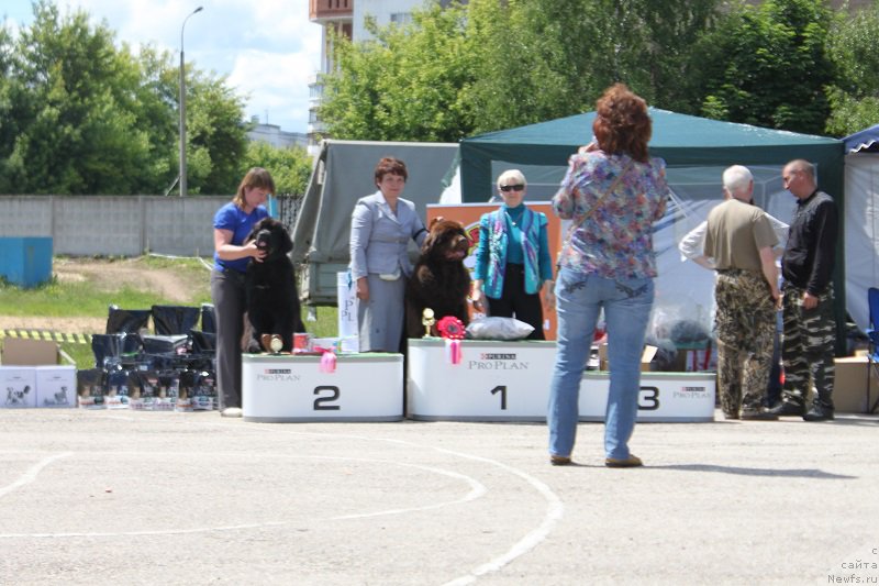 Фотография № 226618