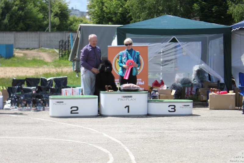 Фотография № 226620