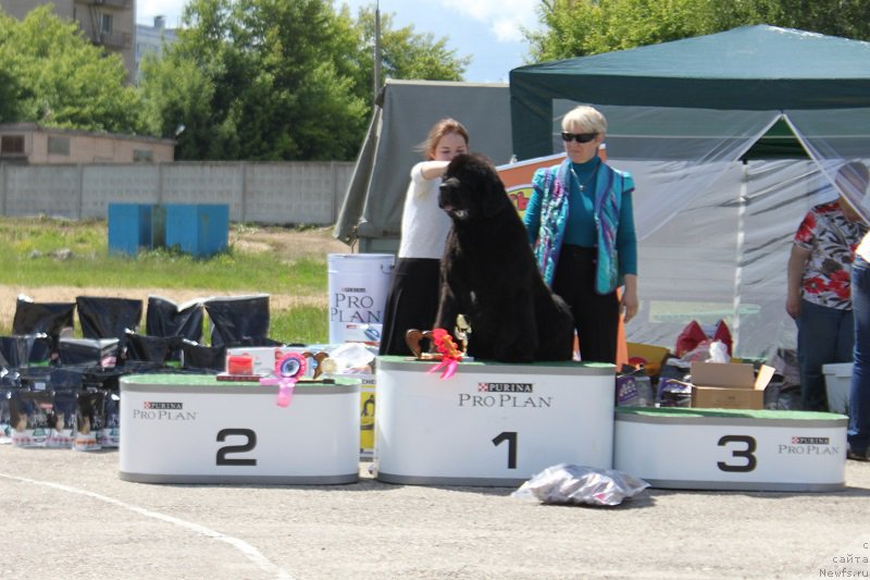 Фотография № 226621