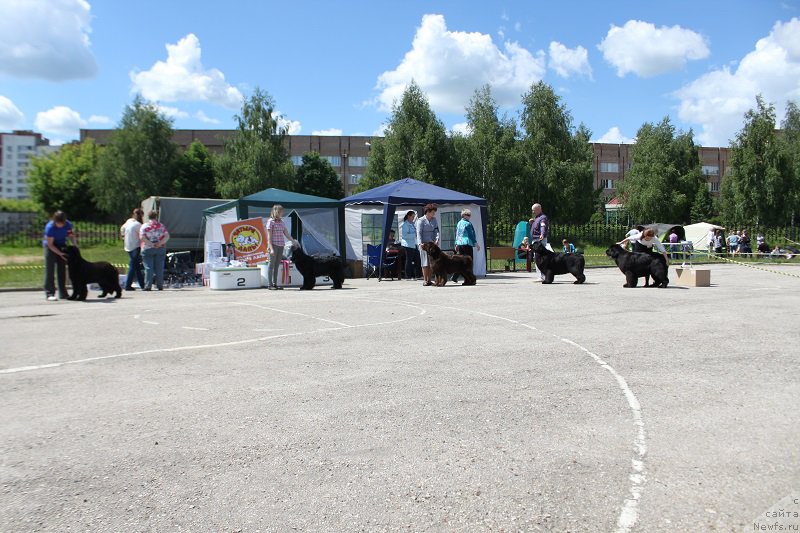 Фотография № 226623