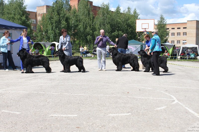 Фотография № 226625