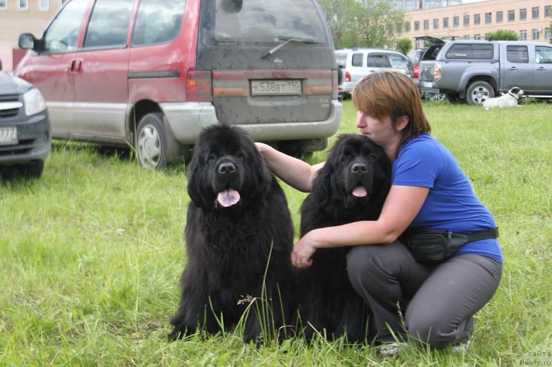 Фотография № 226627