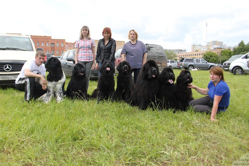 Фотография № 226629