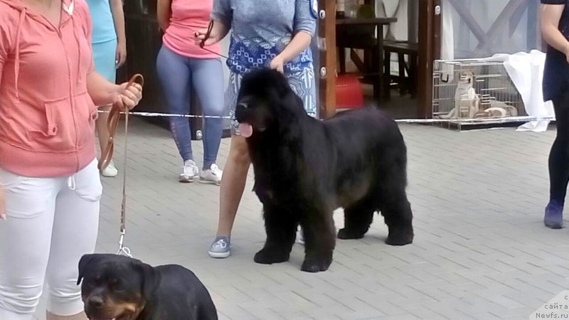 Фотография № 226651