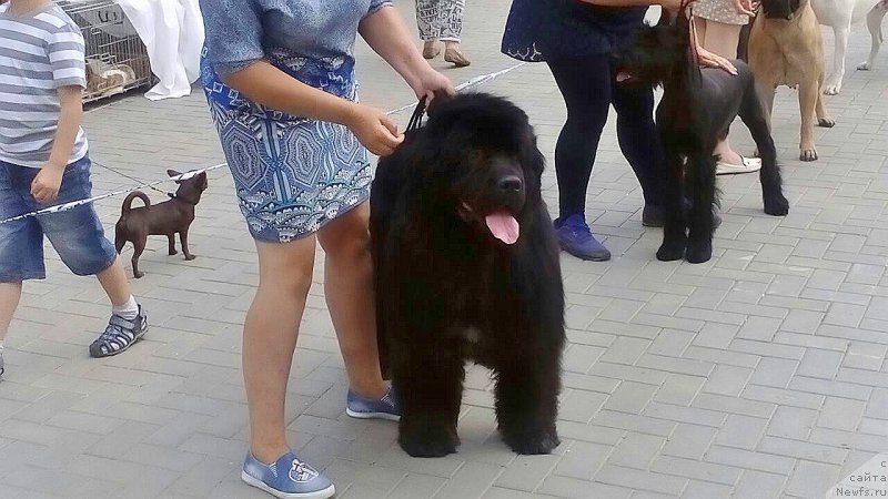 Фотография № 226653