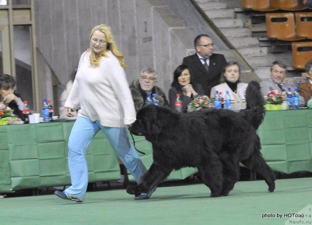 Фотография № 22666