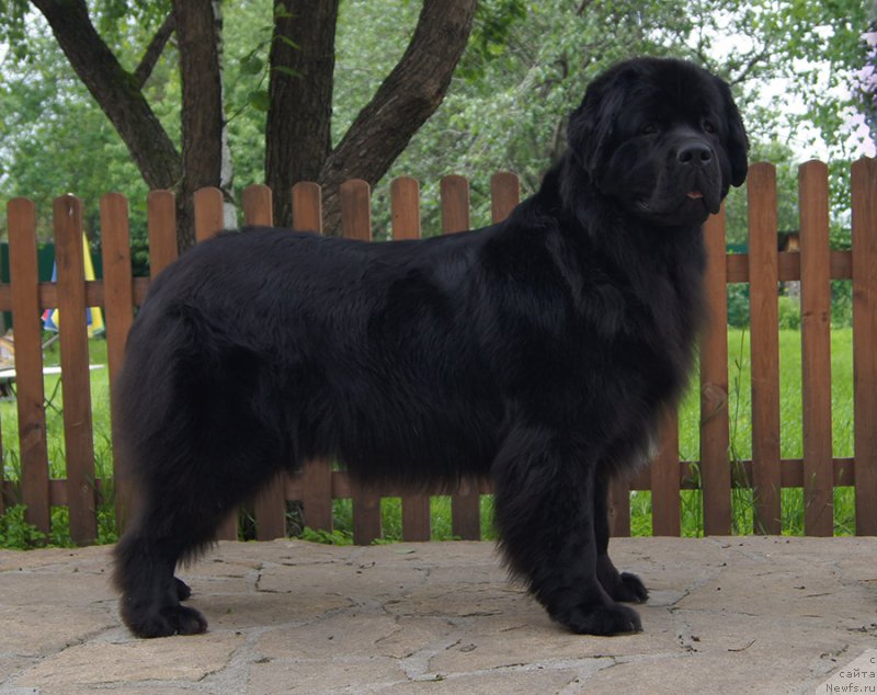 Фотография № 226672