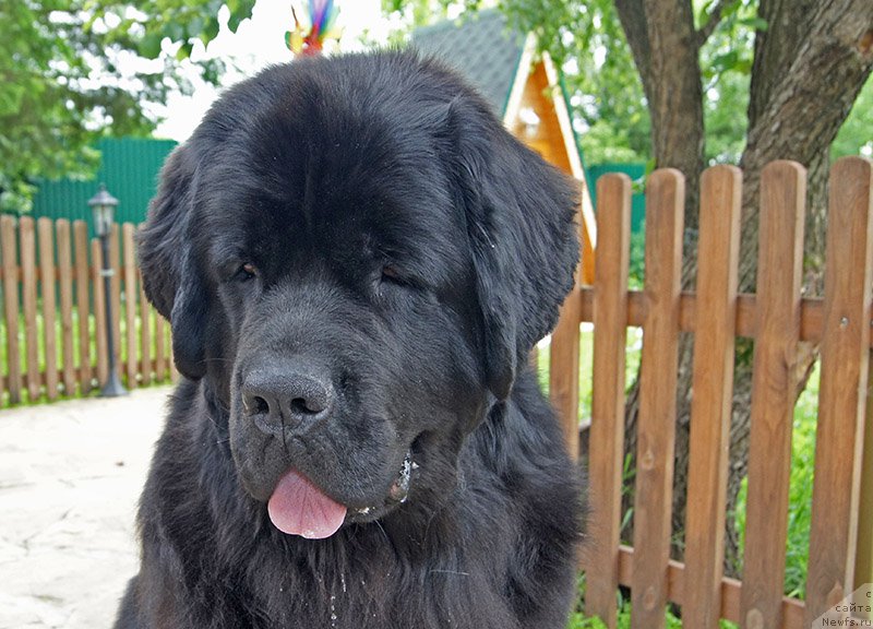 Фотография № 226678