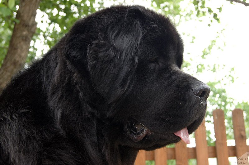 Фотография № 226679