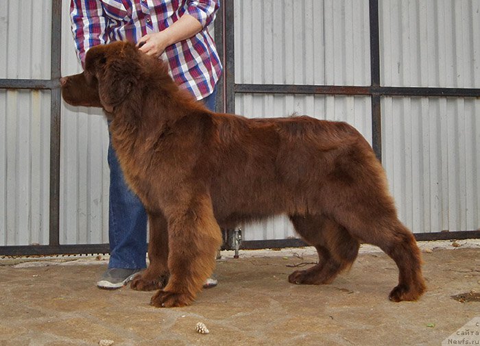 Фотография № 226682