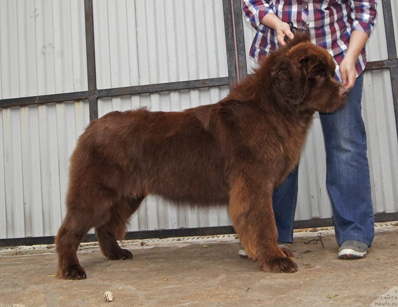 Фотография № 226684