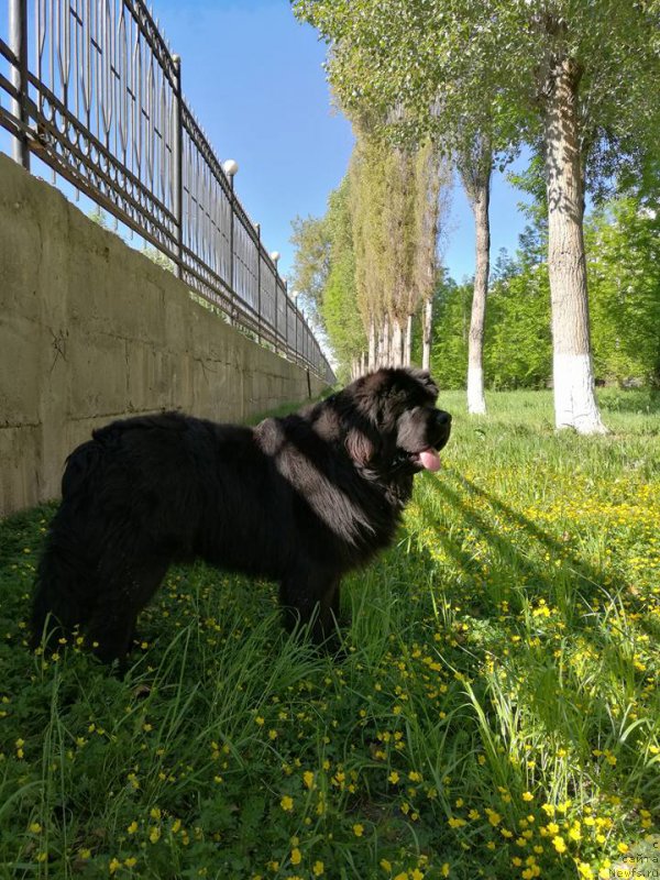 Фотография № 226695