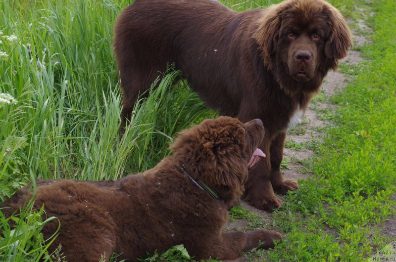 Фотография № 226699