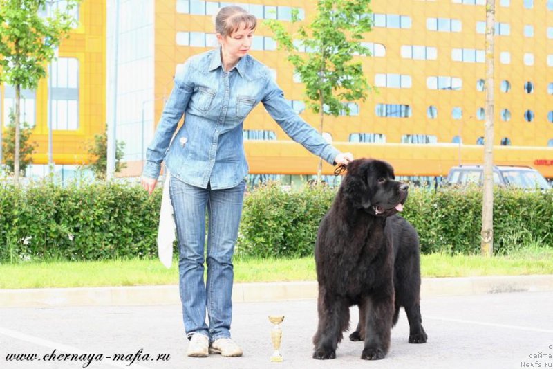 Фотография № 226701