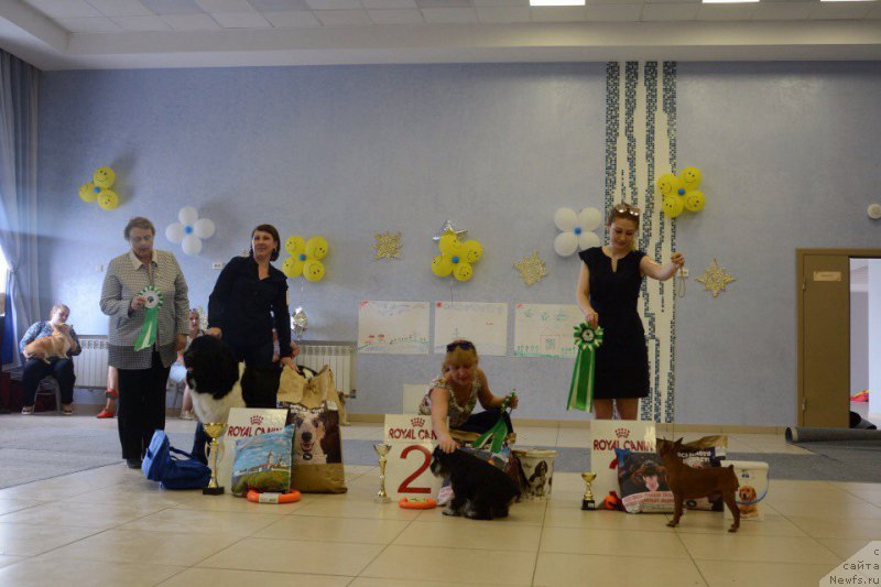 Фотография № 226702