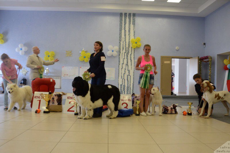 Фотография № 226704