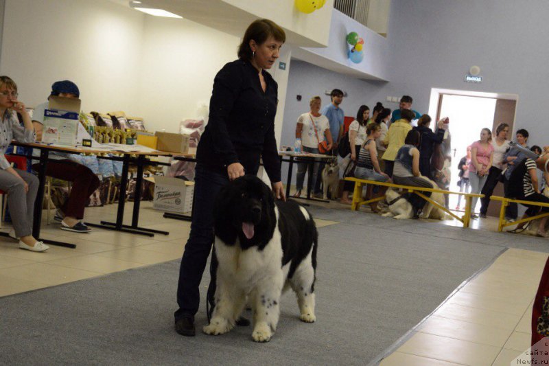 Фотография № 226707