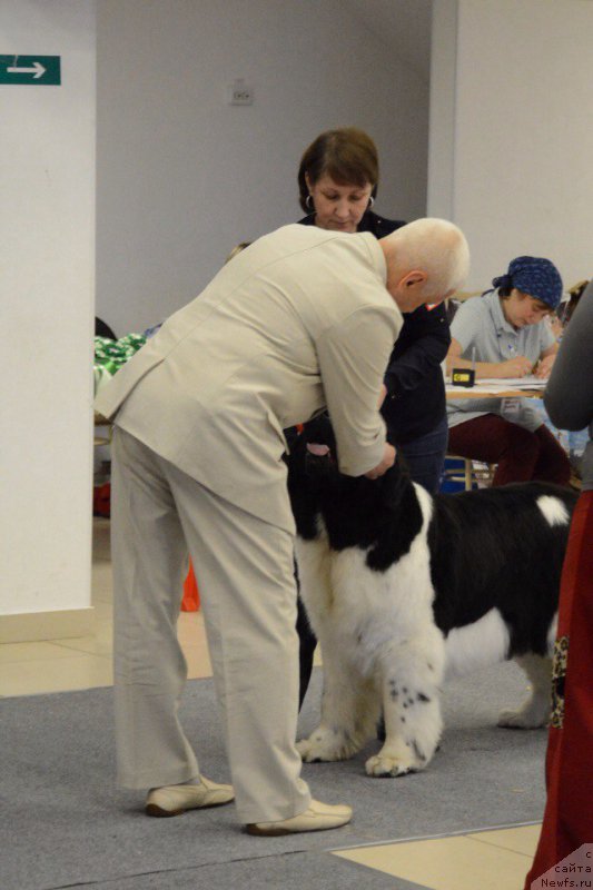 Фотография № 226709