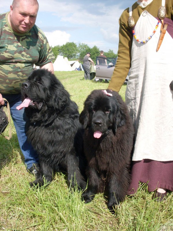 Фотография № 226739