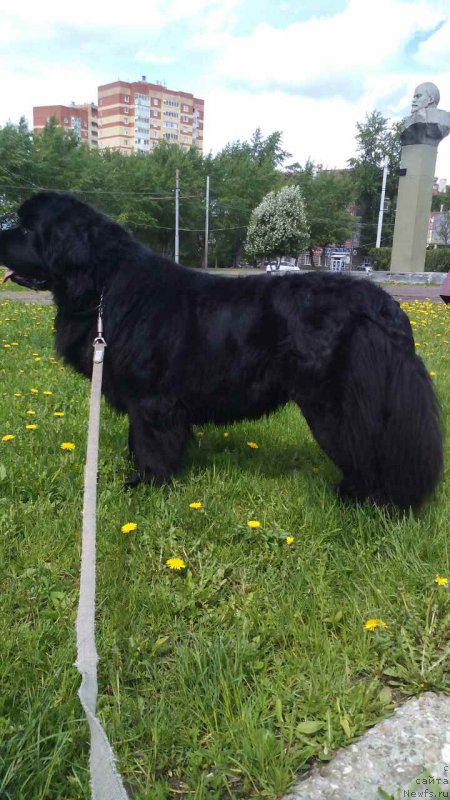 Фотография № 226744