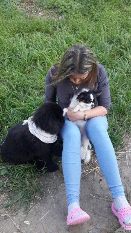 Фотография № 226751