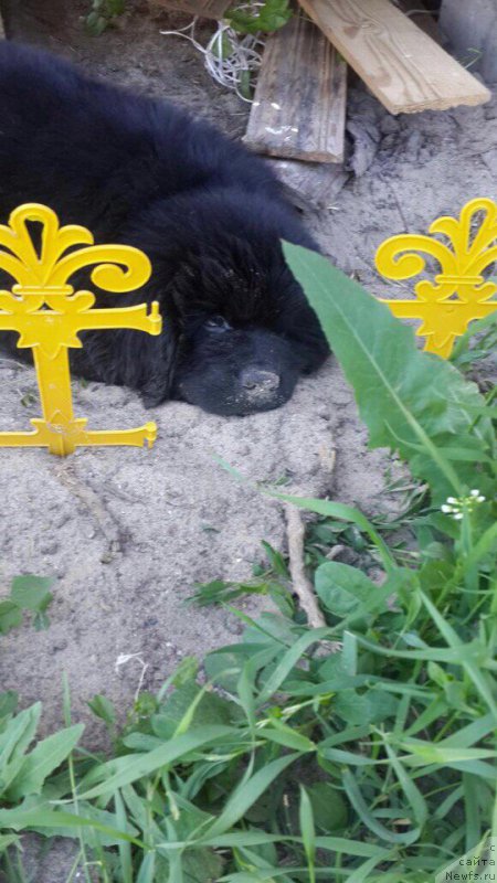 Фотография № 226752