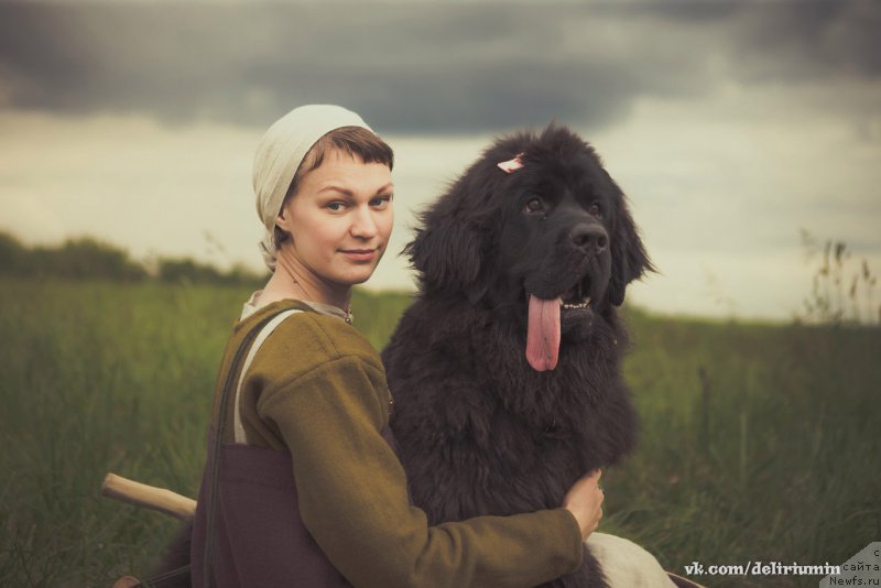 Фото: ньюфаундленд Chernaya Mafia Blackberry Blossom (Черная Мафия Бласкберру Блоссом)