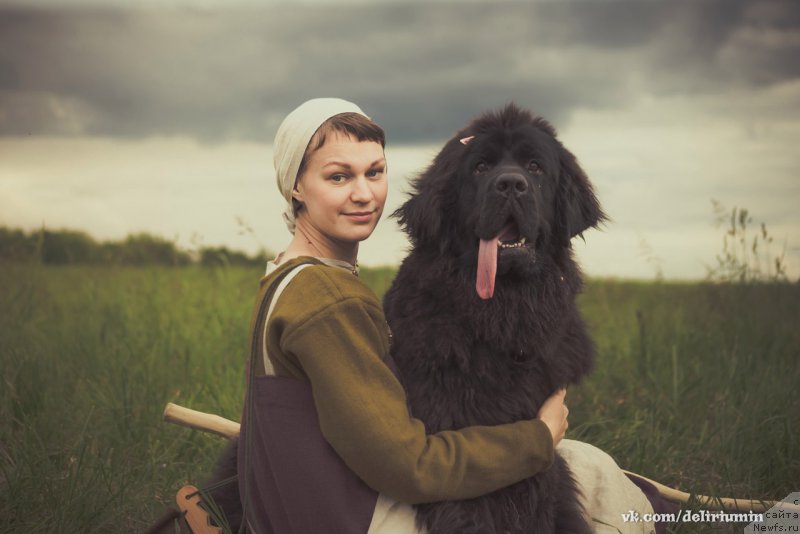 Фотография № 226768