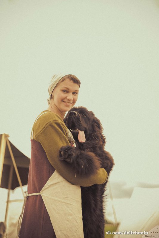 Фото: ньюфаундленд Chernaya Mafia Blackberry Blossom (Черная Мафия Бласкберру Блоссом)