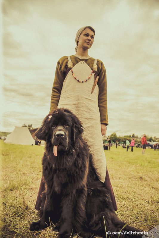 Фото: ньюфаундленд Chernaya Mafia Blackberry Blossom (Черная Мафия Бласкберру Блоссом)