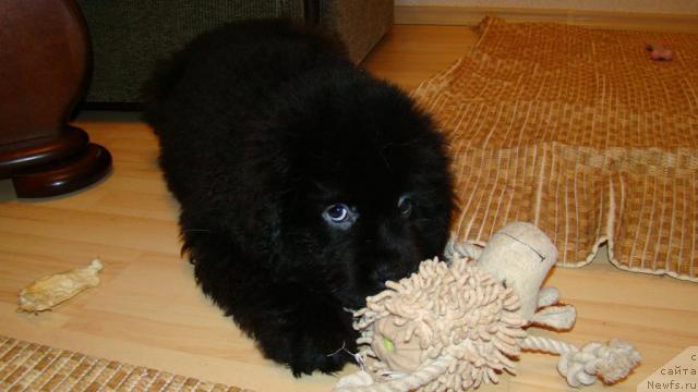 Фотография № 22678