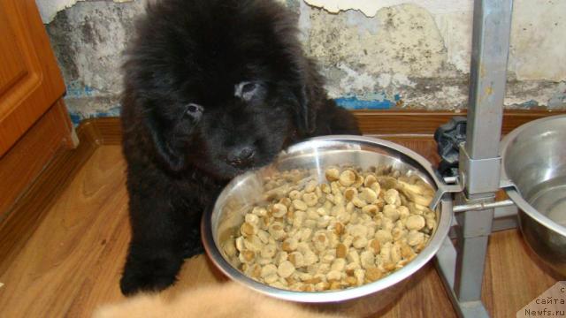 Фотография № 22679