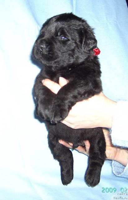 Фотография № 22683