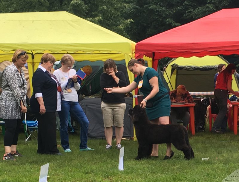 Фотография № 226832