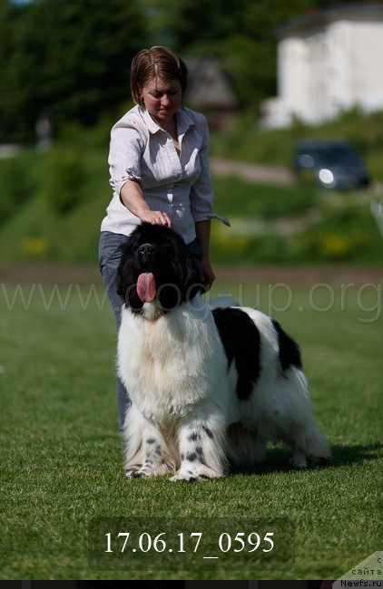 Фотография № 226844