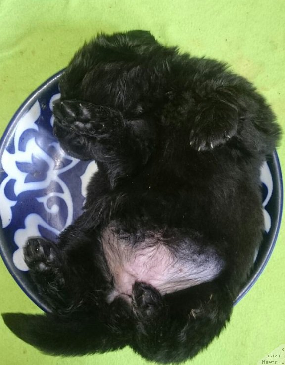 Фотография № 226849