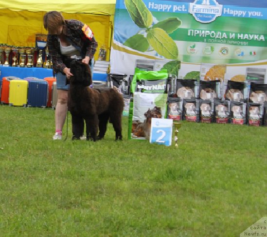 Фотография № 226853