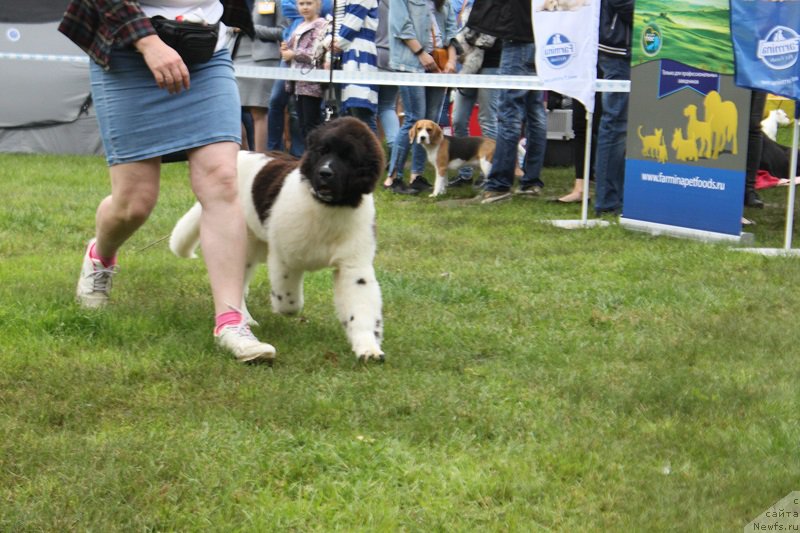 Фотография № 226856